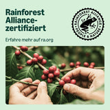 przez Amazon Lungo Aluminium-Kaffeekapseln, kompatybilny z Nespresso, mittelgeröstet, 100 Stück (5 Packungen mit je 20 Stück) – Rainforest Alliance zertifiziert