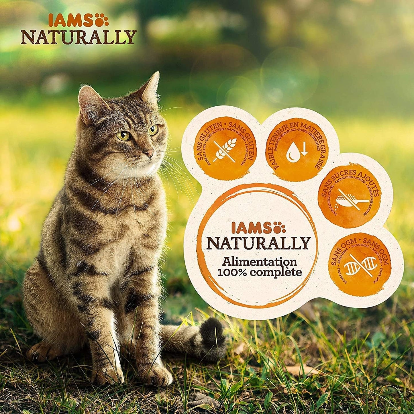 IAMS Naturalna mokra karma dla kotów w sosie - Wysokiej jakości mokra karma z rybą dla dorosłych kotów, kolekcja Sea, 12 x 85g