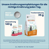 almo nature Functional Urinary Help - Mokra karma dla dorosłych kotów z łososiem - Wspomaga zdrowie dróg moczowych - 30 saszetek po 70 g