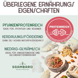 Organiczny makaron Penne Rigate N.91 - 500g z mąką orkiszową, mąką z soczewicy i mąką z komosy ryżowej - Bogaty w białko, źródło błonnika i białka