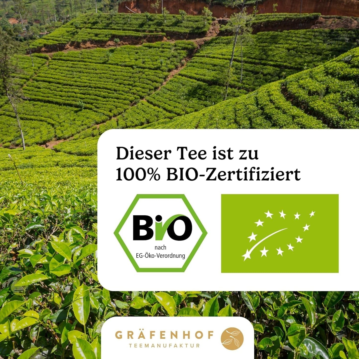 Organiczna herbata Yerba Mate Oryginalna 1 kg sypka herbata Mate o wysokiej zawartości kofeiny Niepalona, ​​suszona na powietrzu Liście mate testowane laboratoryjnie Pakowane w Niemczech Najwyższa jakość Gräfenhof