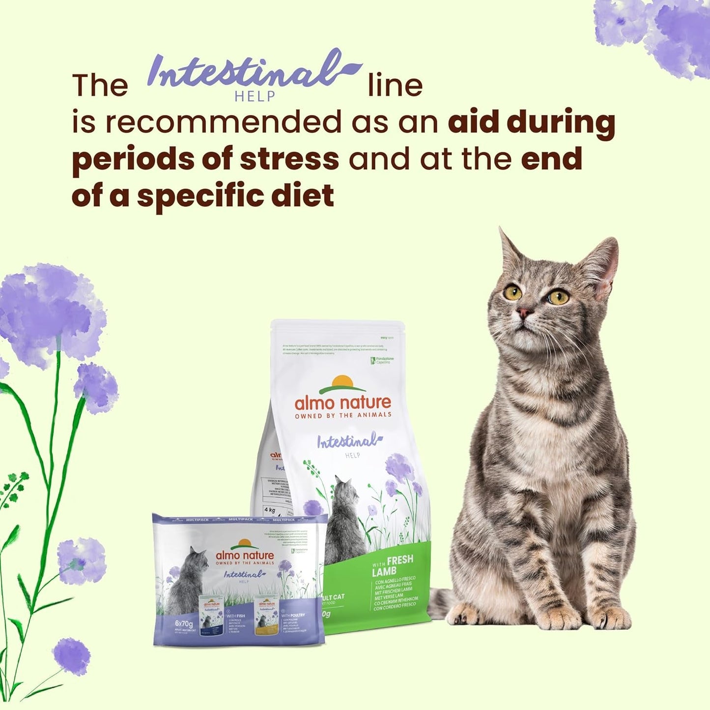 Almo Nature Functional - Intestinal Help - Mokra karma dla dorosłych i dojrzałych kotów z wrażliwymi jelitami - z drobiem - wspiera mikrobiom - 70 g (opakowanie 30 szt.)