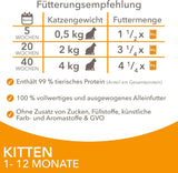 IAMS Delights Kitten Nassfutter - Opakowanie zbiorcze Katzenfutter mit Hunn w sosie, wysokiej jakości Futter für Junior Kätzchen von 1-12 Monate, 12 x 85 g