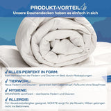 Allnights - Lekka, komfortowa kołdra 135X200 100% nowe pierze i puch, odpowiednia dla alergików, można prać w temperaturze do 60°C, wyprodukowana w Niemczech. Kołdry i kołdry Naty Shop