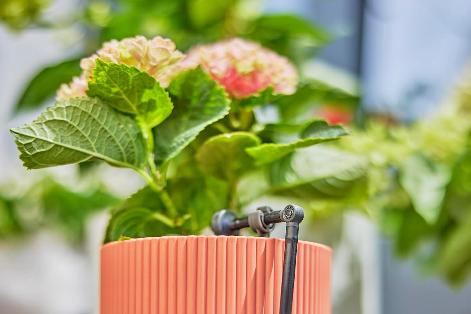Łącznik L do Gardena Micro-Drip 4,6 mm (3/16 cala): do zmiany kierunku rozprowadzania i linii kroplujących o 90 stopni, montaż bez załamań, łatwa i elastyczna technika łączenia (13212-20)