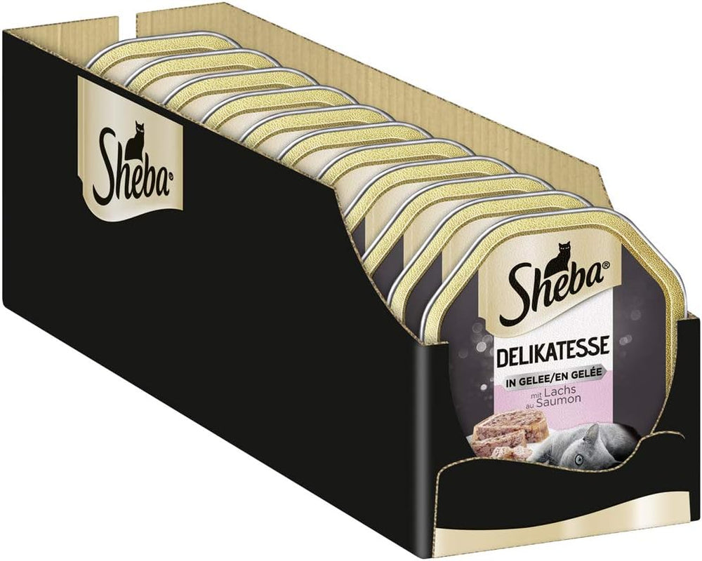 Sheba Mokra karma dla kotów, delikatesy w galaretce z łososia, 2 x 11 x 85g