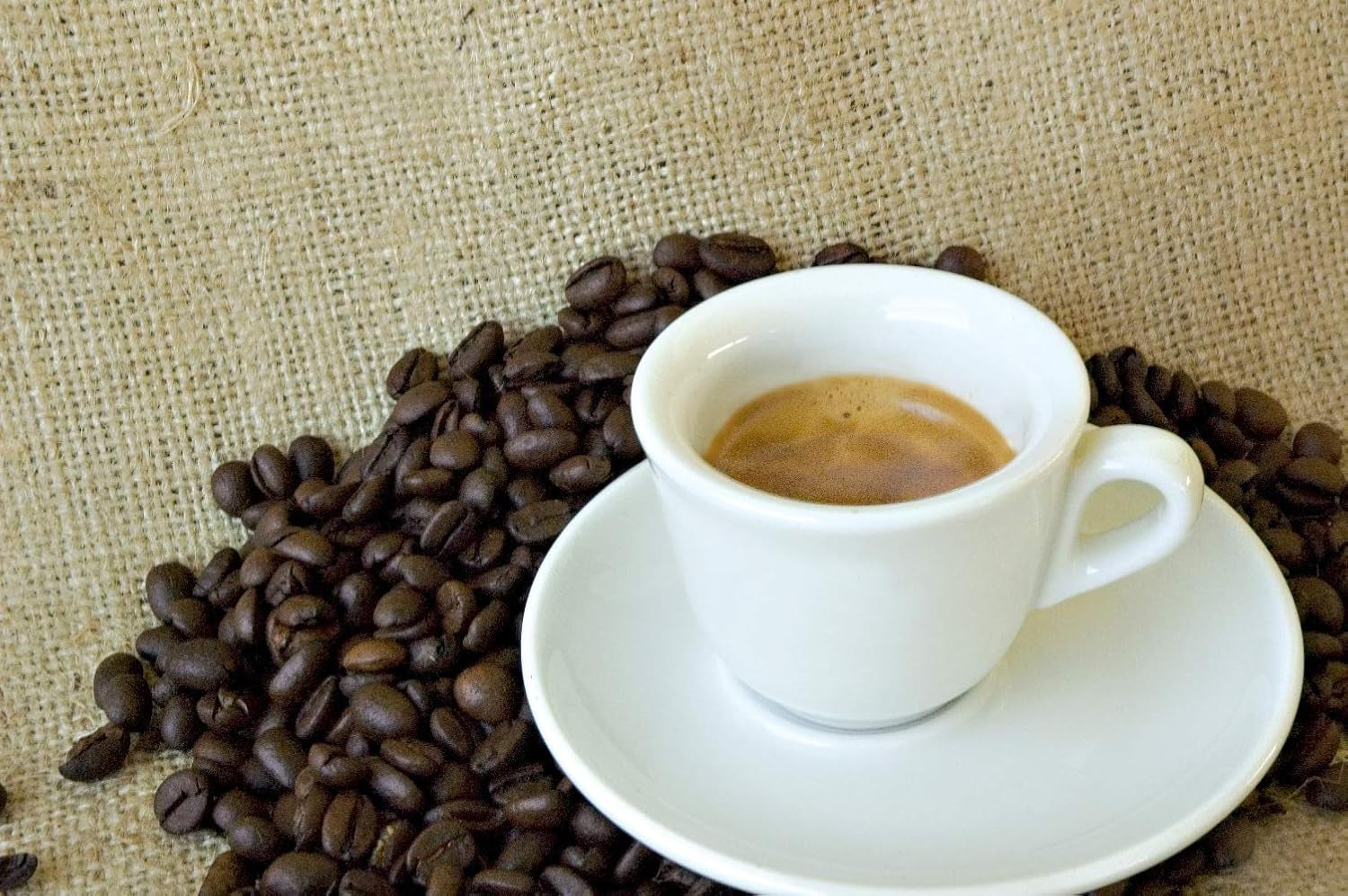 Caffè Corsini - Classico Italiano, Miscela Di Caffè In Nespresso Kompatybilne kapsułki, Gusto Forte E Deciso - Confezione Da 100 kapsułek