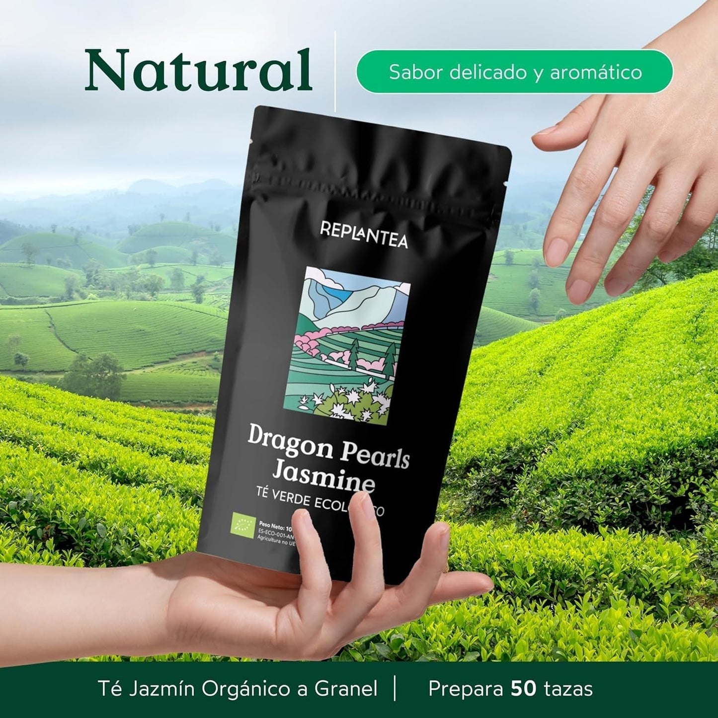 Organiczna herbata Jasmin Dragon Pearls (100 g) | Herbata zielona premium w formie ręcznie zwijanych perełek jaśminu | Specjał herbaciany o delikatnym kwiatowym aromacie | REPLANT