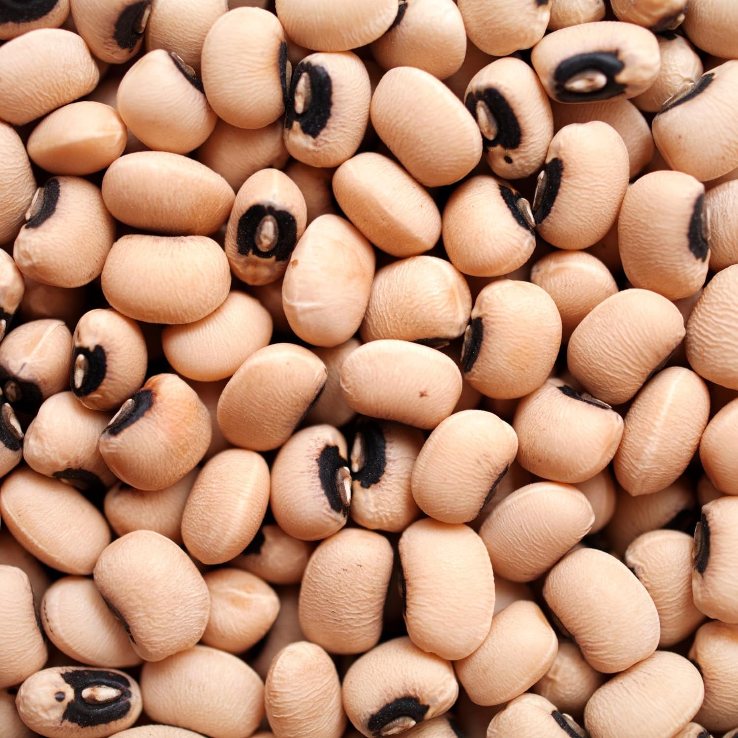 AFROASE - Groszek czarnooki - 1 x 1 kg