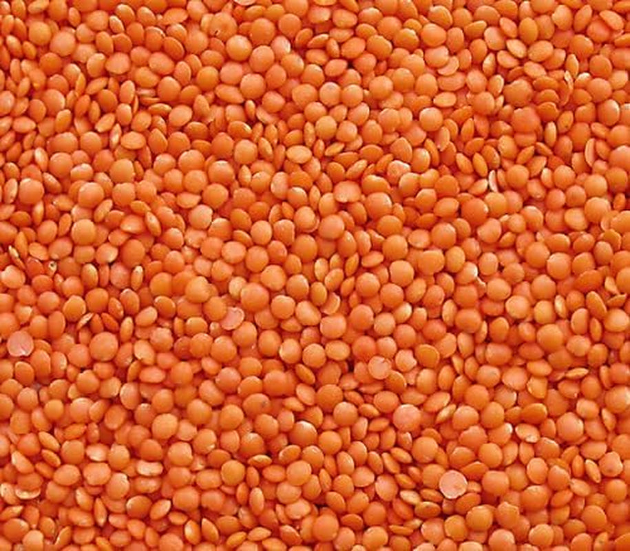Seba Garden Czerwona Soczewica 1kg - Wysokiej jakości cała soczewica z Kanady - Massor Dal, bez GMO, o wysokiej zawartości białka, o wysokiej zawartości błonnika - całkowicie naturalna, wegańska, bezglutenowa, idealna do zup i curry