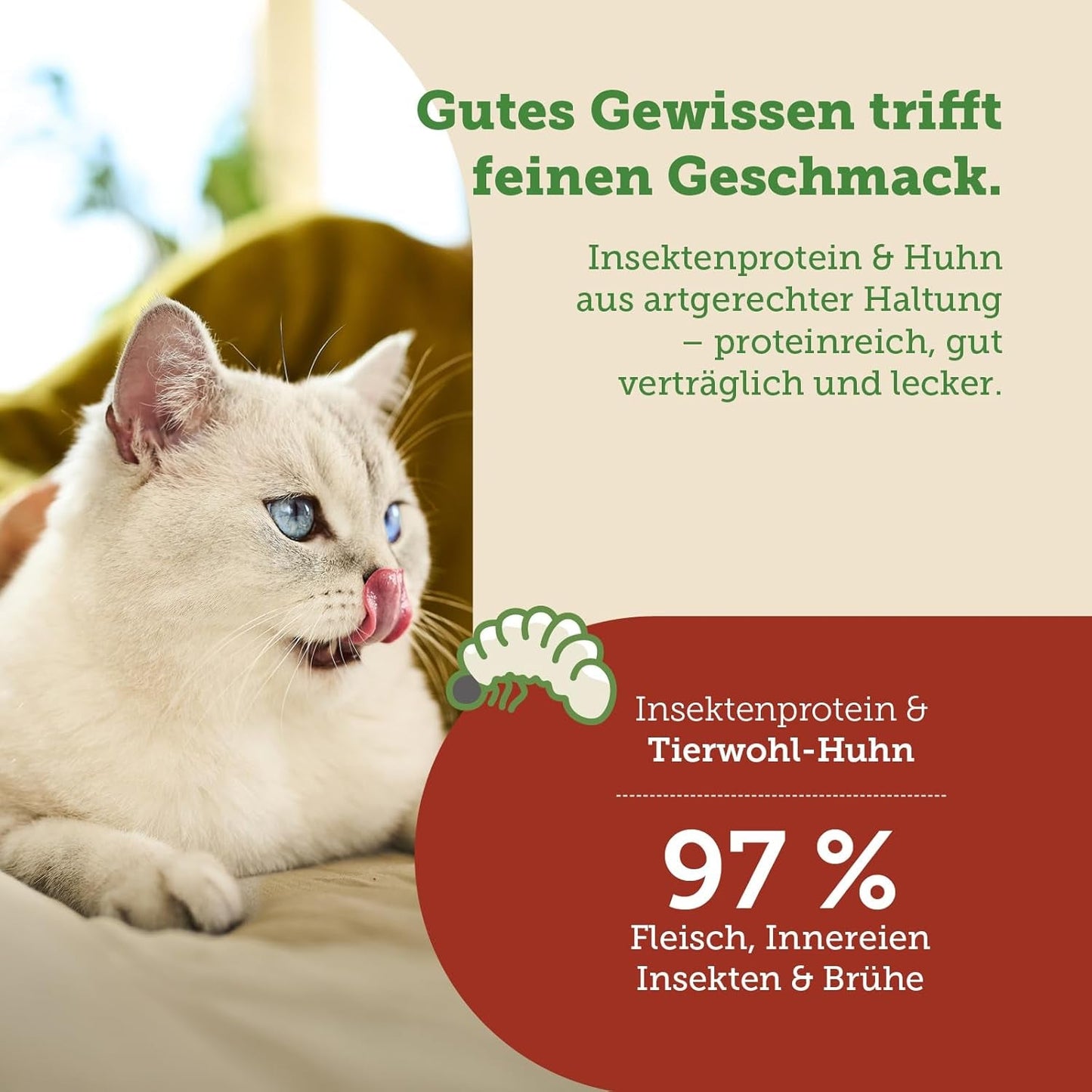 MERA Cats Nature Insect Premium Katzenfutter Nass 12x85g | ohne Zucker i Getreide| Nachhaltig & mit viel Insektenprotein | Dorosły Katzennassfutter