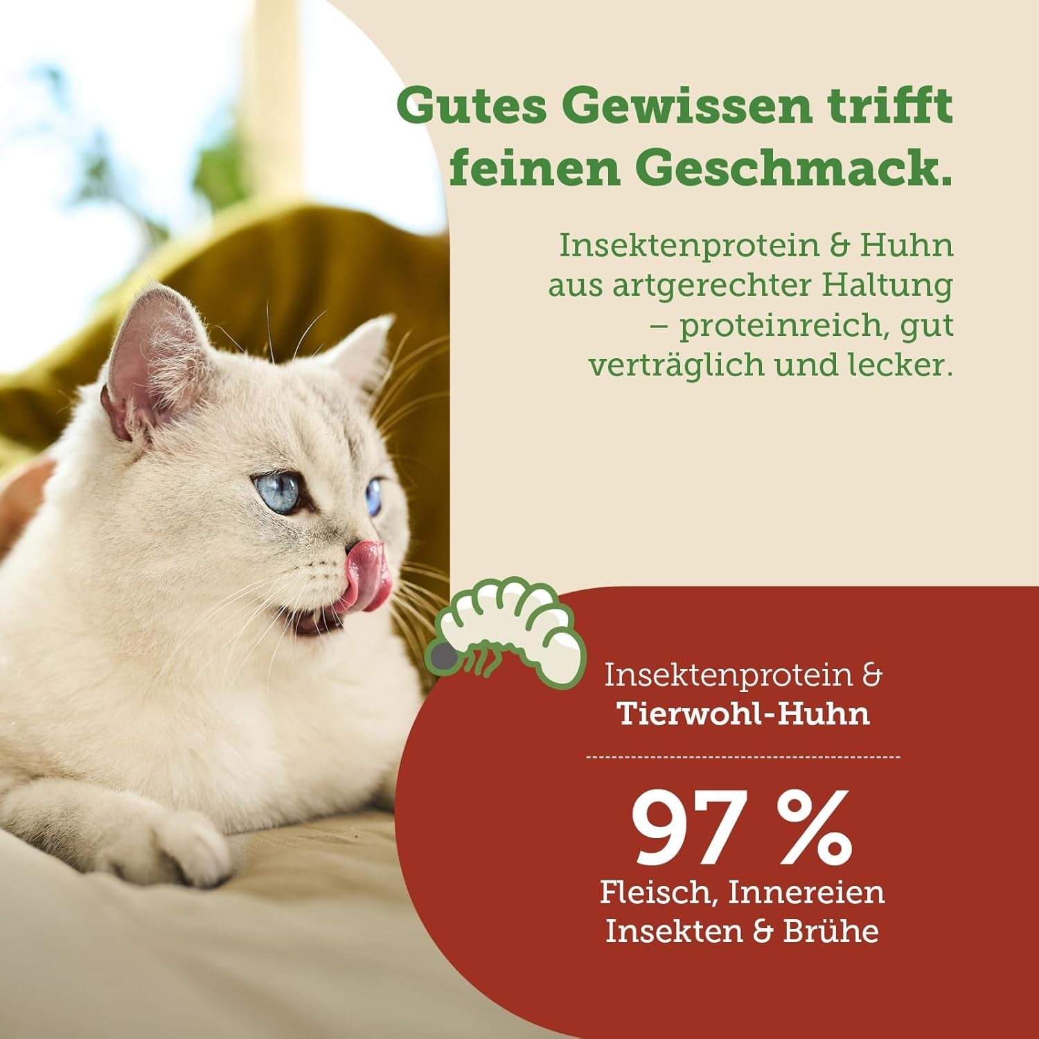 MERA Cats Nature Insect Premium Katzenfutter Nass 12x85g | ohne Zucker i Getreide| Nachhaltig & mit viel Insektenprotein | Dorosły Katzennassfutter