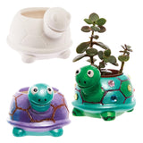 Ceramiczne donice Baker Ross FX594 Turtle - opakowanie 2 sztuk. Pomaluj własną doniczkę