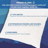LINEA by Böhmerwald - Cosy - Wysokiej jakości poduszka Balance, 40X80, 70% pierza klasy 1, 30% nowego puchu, odpowiednia dla alergików, można prać w temperaturze do 60°C, wyprodukowano w Niemczech Poduszki standardowe Naty Shop