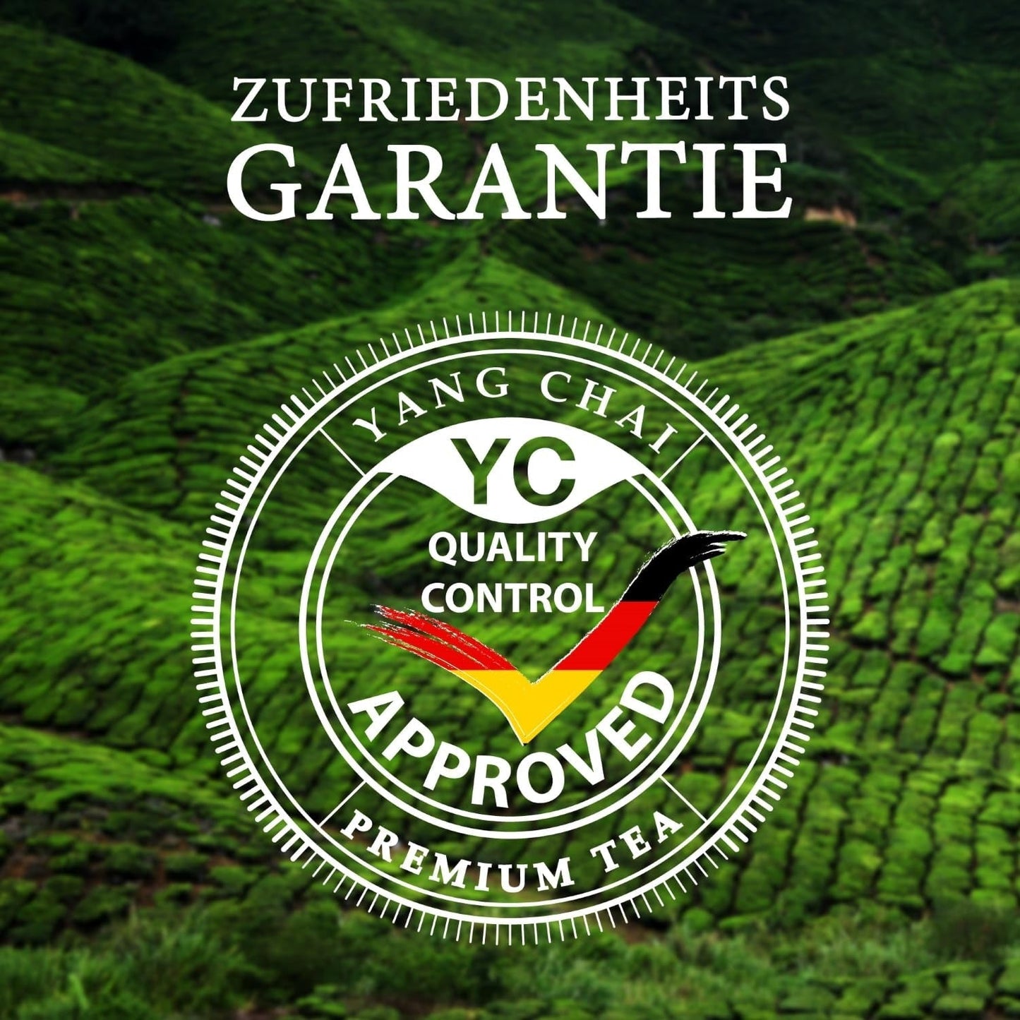 YC Yang Chai Sencha Green Tea BIO 250G - Japońska herbata sypana o smaku bergamotki - Oryginalna japońska zielona herbata "Sencha Dynasty" z kontrolowanych upraw organicznych