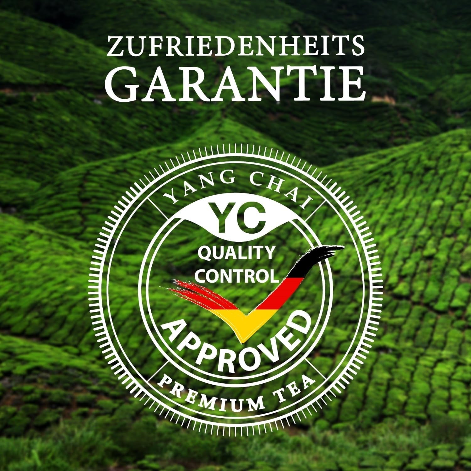YC Yang Chai Sencha Green Tea BIO 250G - Japońska herbata sypana o smaku bergamotki - Oryginalna japońska zielona herbata "Sencha Dynasty" z kontrolowanych upraw organicznych