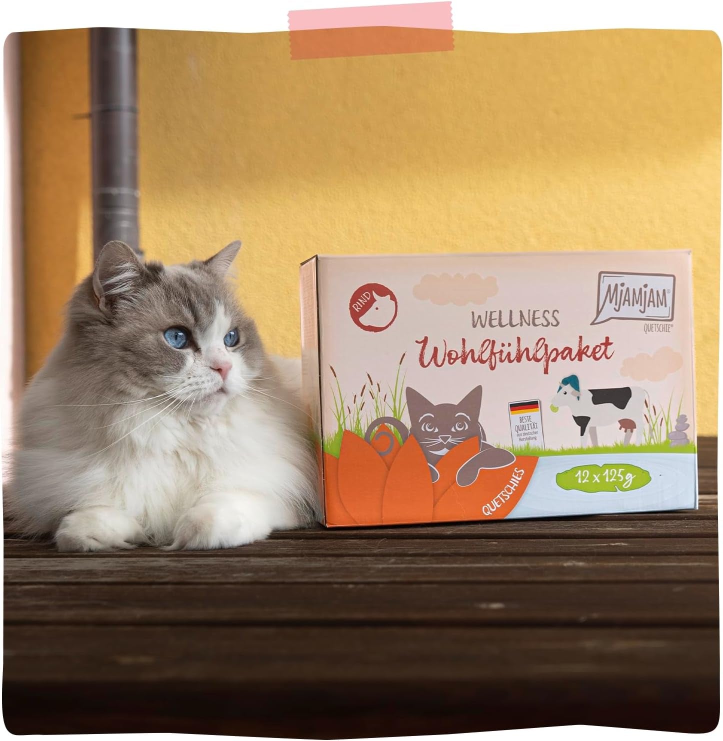 MjAMjAM - Mokra karma dla kotów Premium - Wellness Pack Wołowina, opakowanie 12 sztuk (12 x 125 g), bez zbóż, z dodatkowym mięsem