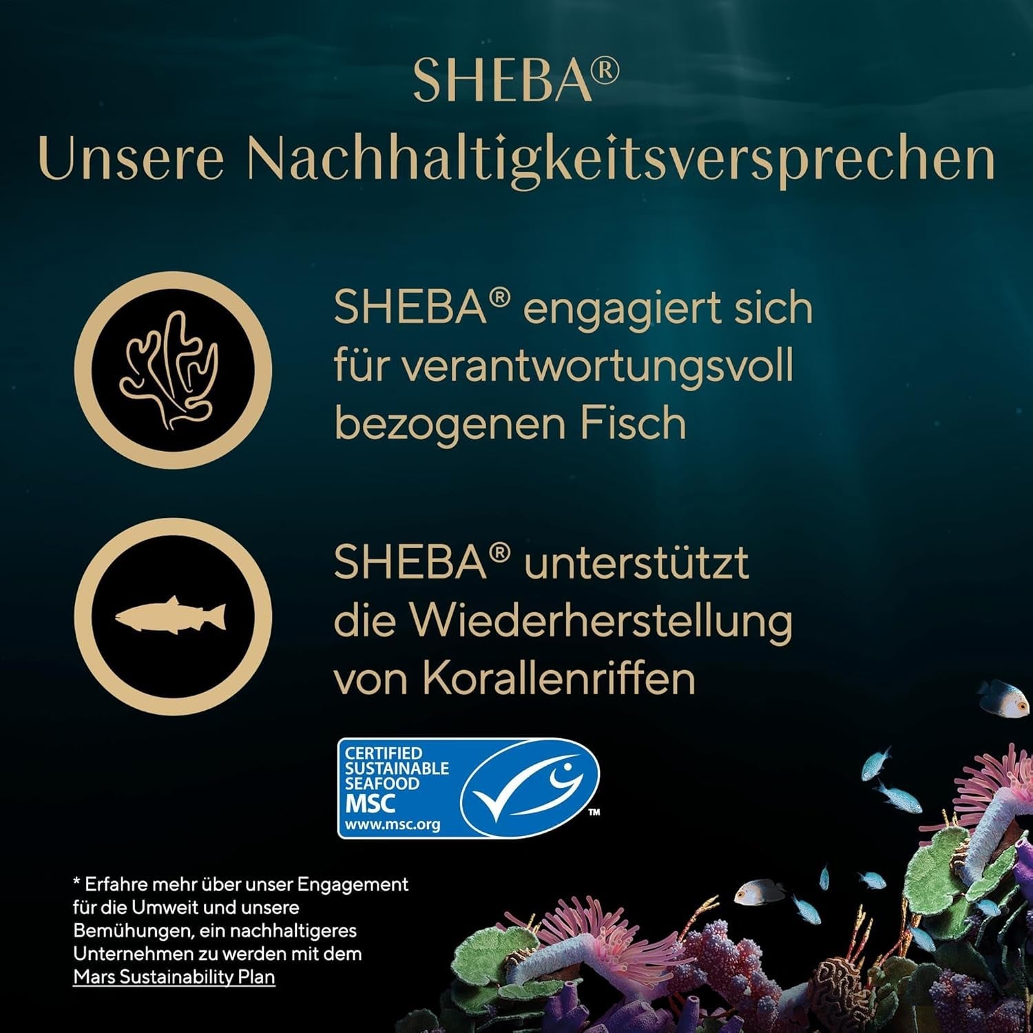 SHEBA Filety Katzenfutter Adult w sosie z kurczakiem, Hochseefisch i Garnelen 16 x 60 g w skorupce
