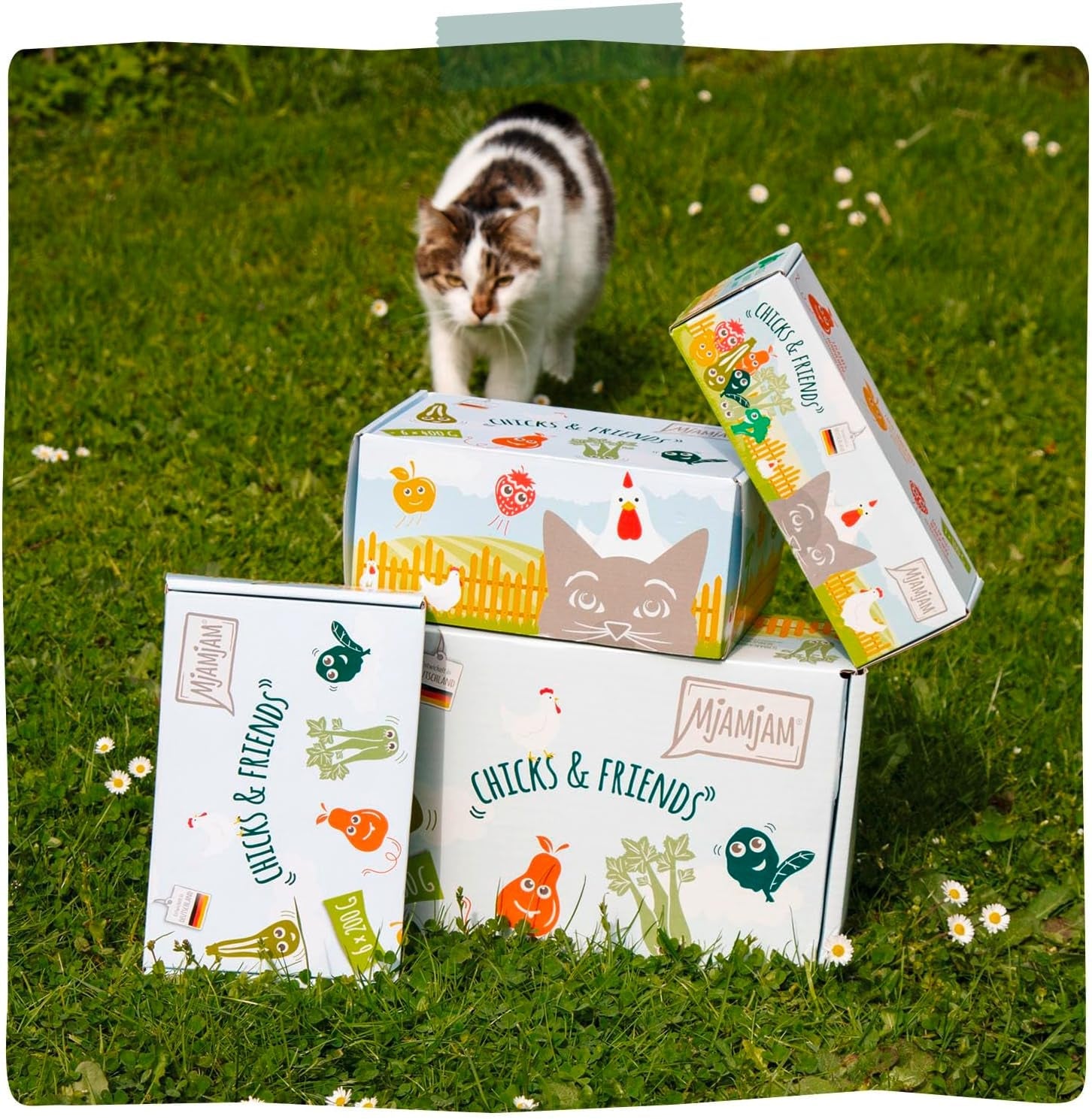 MjAMjAM - Premium Nassfutter für Katzen - Pudełko Chicks & Friends, pakiet 9 sztuk (9 x 300 g), getreidefrei mit extra Fleisch