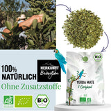 ORIGEENS BIO YERBA MATE TEA 1 KG - The Original I Niepalona, ​​liście, bez łodyżek, kurzu i okruchów I Napój energetyzujący i detoksykujący