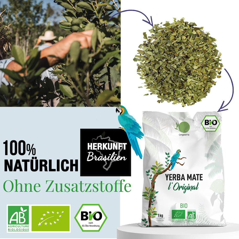 ORIGEENS BIO YERBA MATE TEA 1 KG - The Original I Niepalona, ​​liście, bez łodyżek, kurzu i okruchów I Napój energetyzujący i detoksykujący