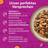 WHISKAS TASTY MIX Nassfutter w sosie für Katzen 40 x 85g Wybór szefa kuchni