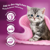 WHISKAS Junior Karma mokra w saszetkach, opakowanie zbiorcze, wybór mięsa drobiowego w galarecie, 12 x 85g