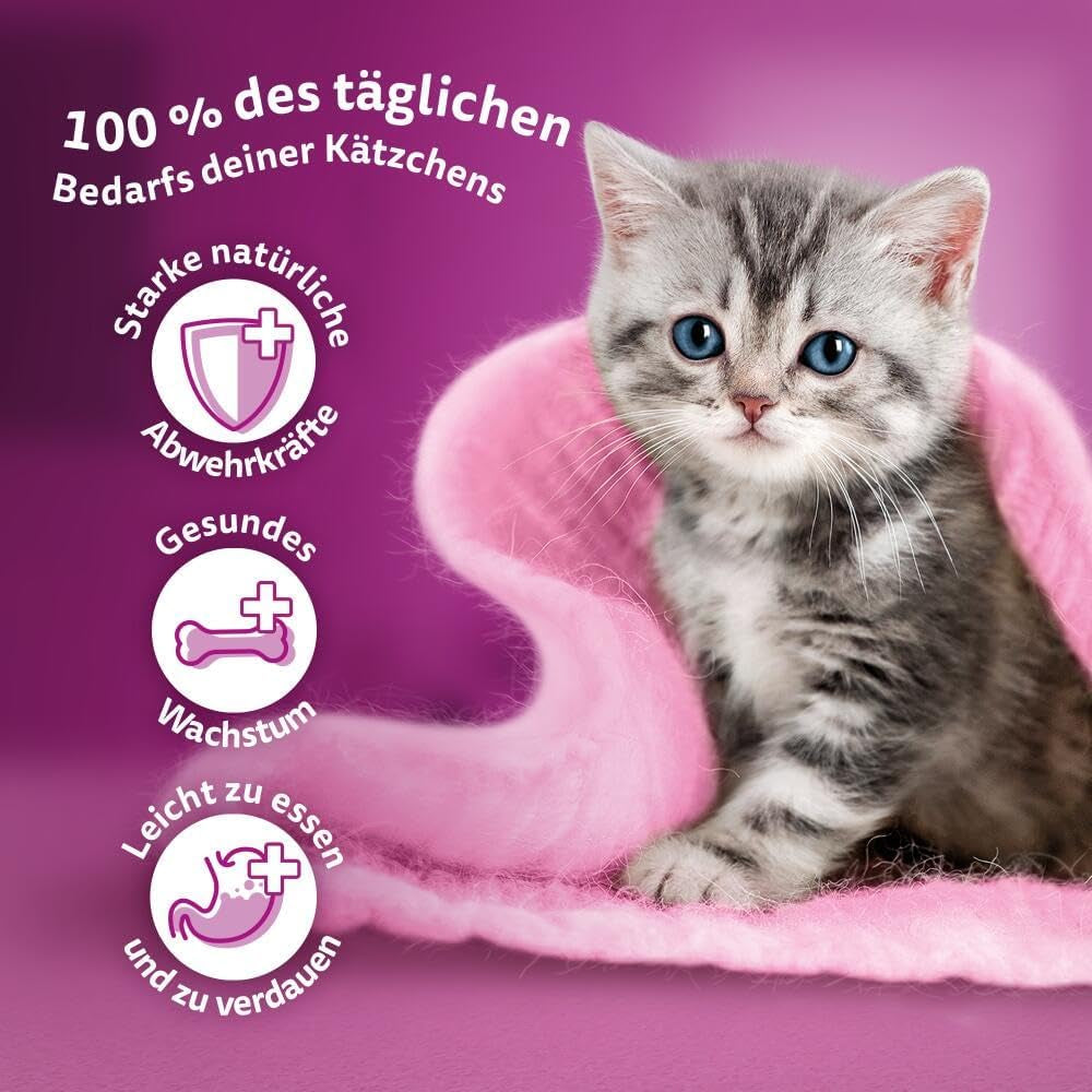 WHISKAS Junior Karma mokra w saszetkach, opakowanie zbiorcze, wybór mięsa drobiowego w galarecie, 12 x 85g