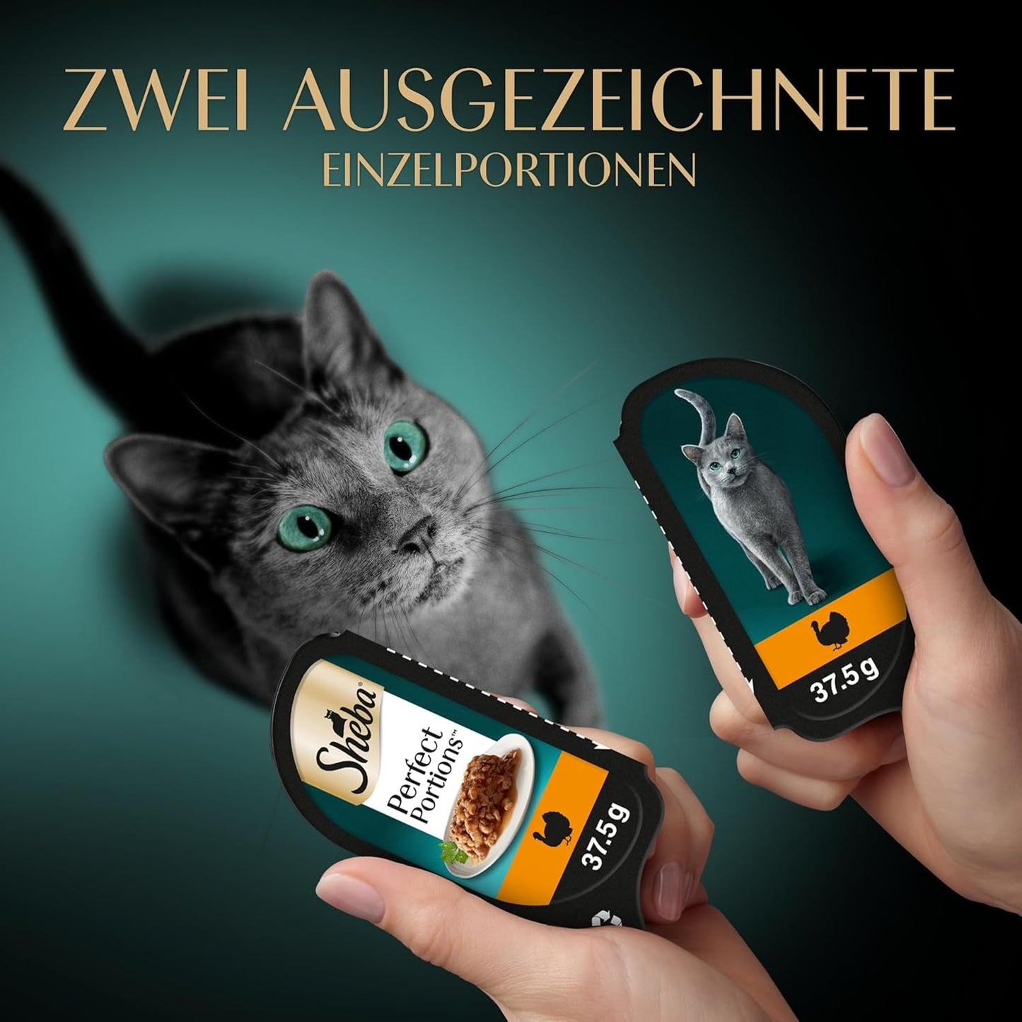SHEBA Perfect PORTIONS sos dla kotów z indykiem 8 x 3 x (2 x 375g)