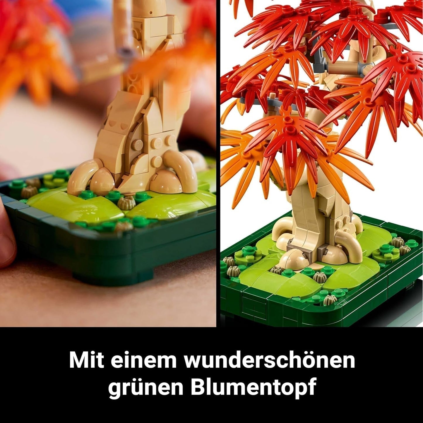 LEGO Botanicals Japoński czerwony klon - Drzewo Bonsai - Zestaw sztucznych roślin z czerwonymi i pomarańczowymi liśćmi oraz miską - Wystrój domu - Pomysł na prezent dla dorosłych - 10348 Zestawy do budowania Besuche den LEGO-Store