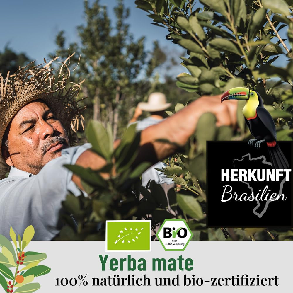 ORIGEENS BIO YERBA MATE z pomarańczami 200 G - Herbata owocowa I Organiczna niepalona Yerba Mate herbata bez szypułek i pyłu I Napój energetyzujący i detoksykujący