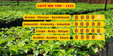 Caffè New York - XXXX - Kawa ziarnista - 1000g