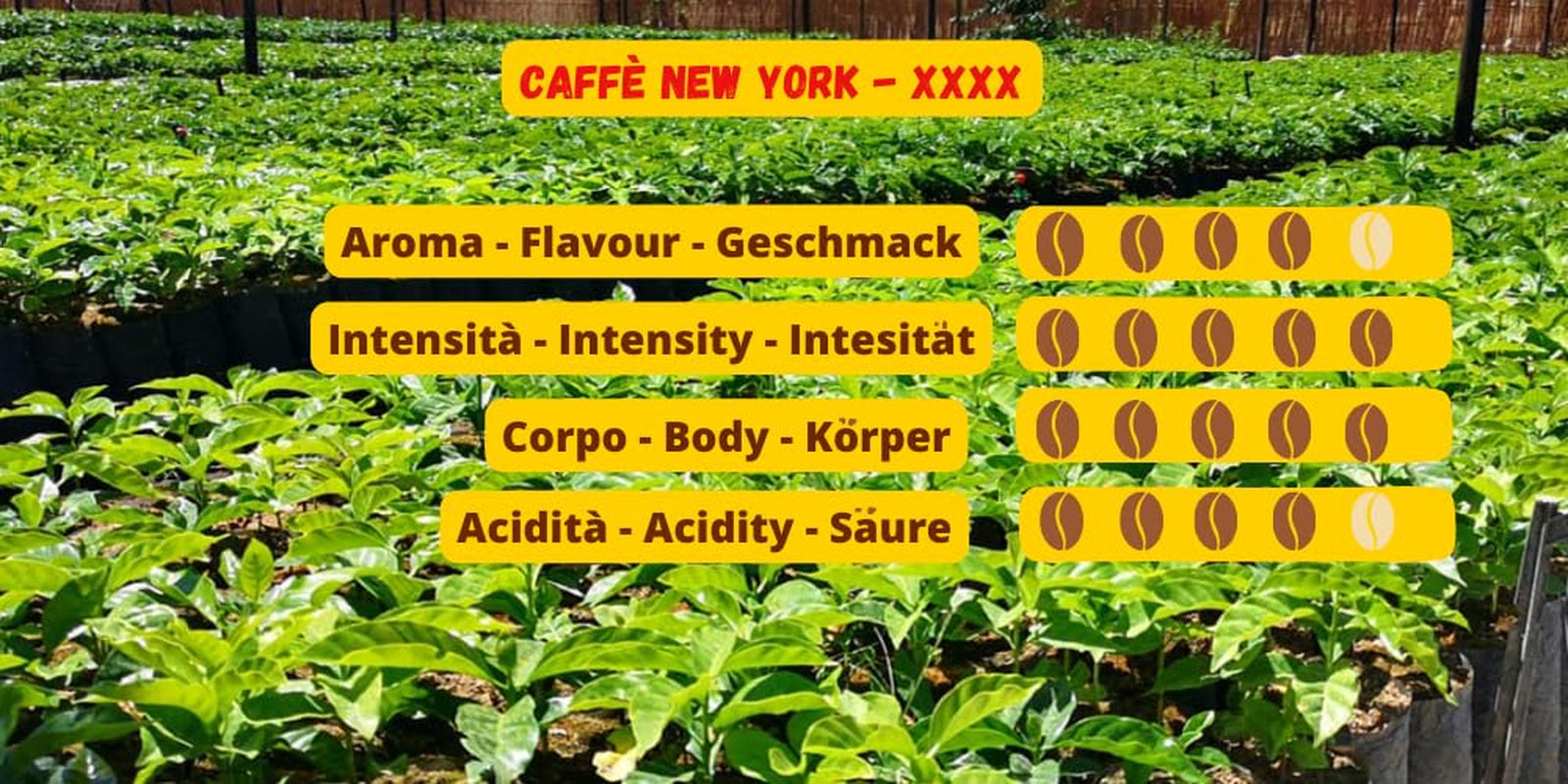 Caffè New York - XXXX - Kawa ziarnista - 1000g