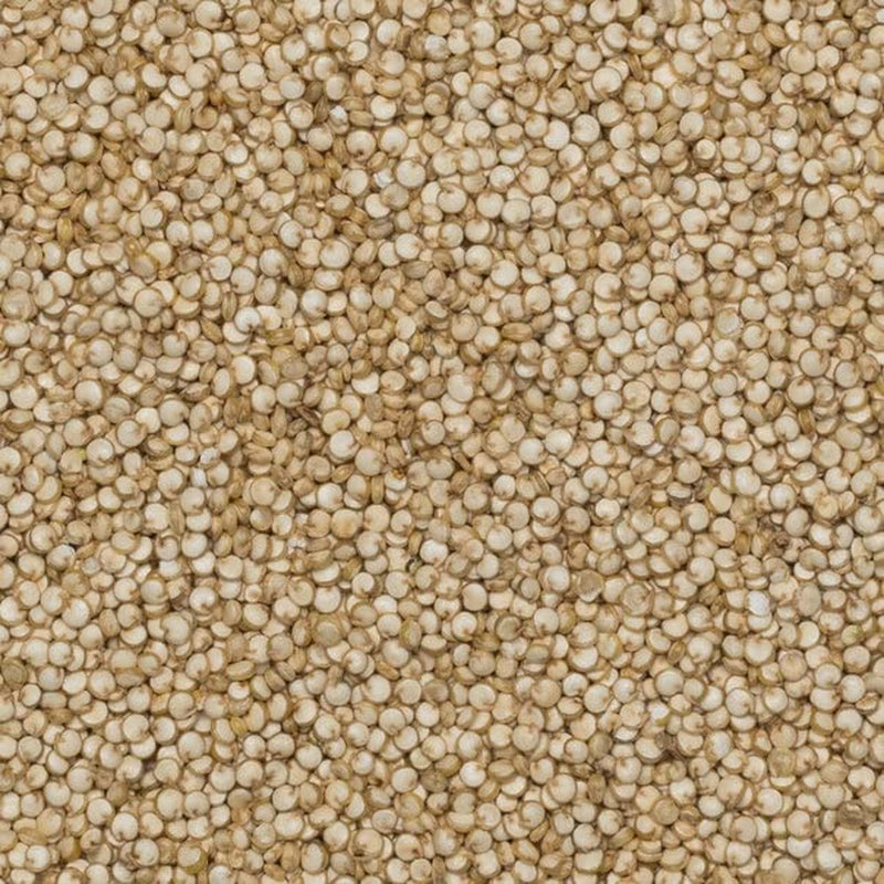 Organiczne ziarna komosy ryżowej pełnoziarnistej – 2kg | Okrutny | Bez GMO | wegańskie | Bogaty w błonnik | Certyfikowane organiczne