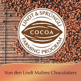 Czekolada Lindta | Pudełko na praliny kreolskie | 100g | 9 pralin w 4 pysznych asortymentach, wykonanych w 100% z delikatnego kakao, bez alkoholu | Zestaw upominkowy z czekoladą
