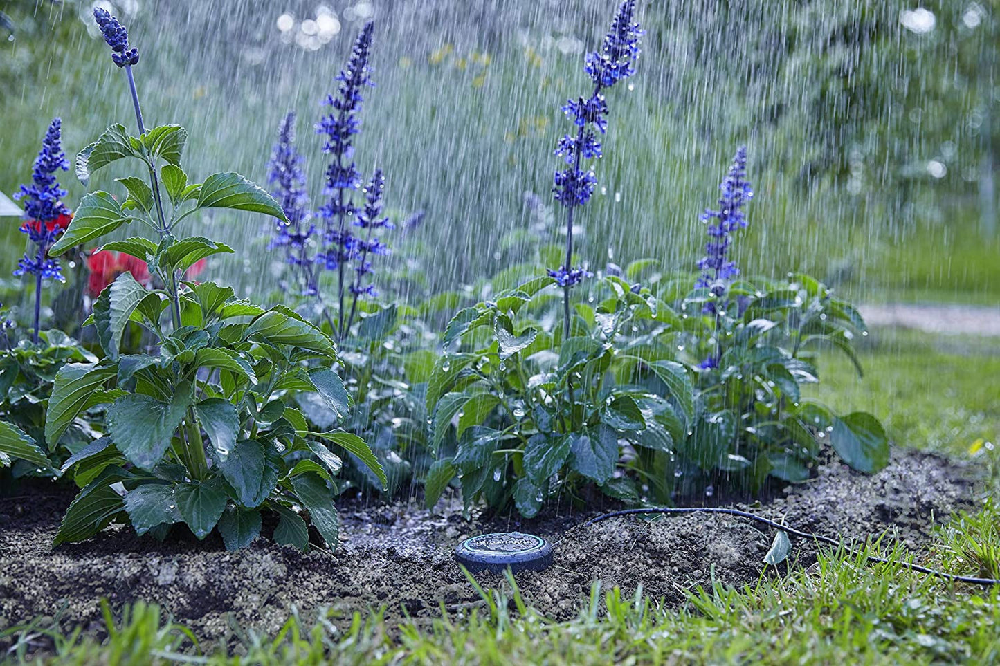 Przedłużacz Gardena (10 m) do czujnika deszczu i czujnika wilgotności gleby, kabel połączeniowy z systemem Easy Click, z możliwością przedłużenia do 105 m, do użytku naziemnego i podziemnego (01868-20)
