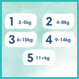 Pieluszki dla niemowląt Pampers, rozmiar 2 (4-8 kg), Harmony, pudełko Half Moon, delikatna ochrona skóry i składniki ziołowe, 240 sztuk