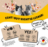 Dogs'n Tiger Schlemmermenü Glückskind, Nassfutter für Kätzchen, saftiges Hun und Forelle - ohne Getreide, Zuckerzusatz, künstliche Konservierungsstoffe, optymale Verträglichkeit, 12x 200g