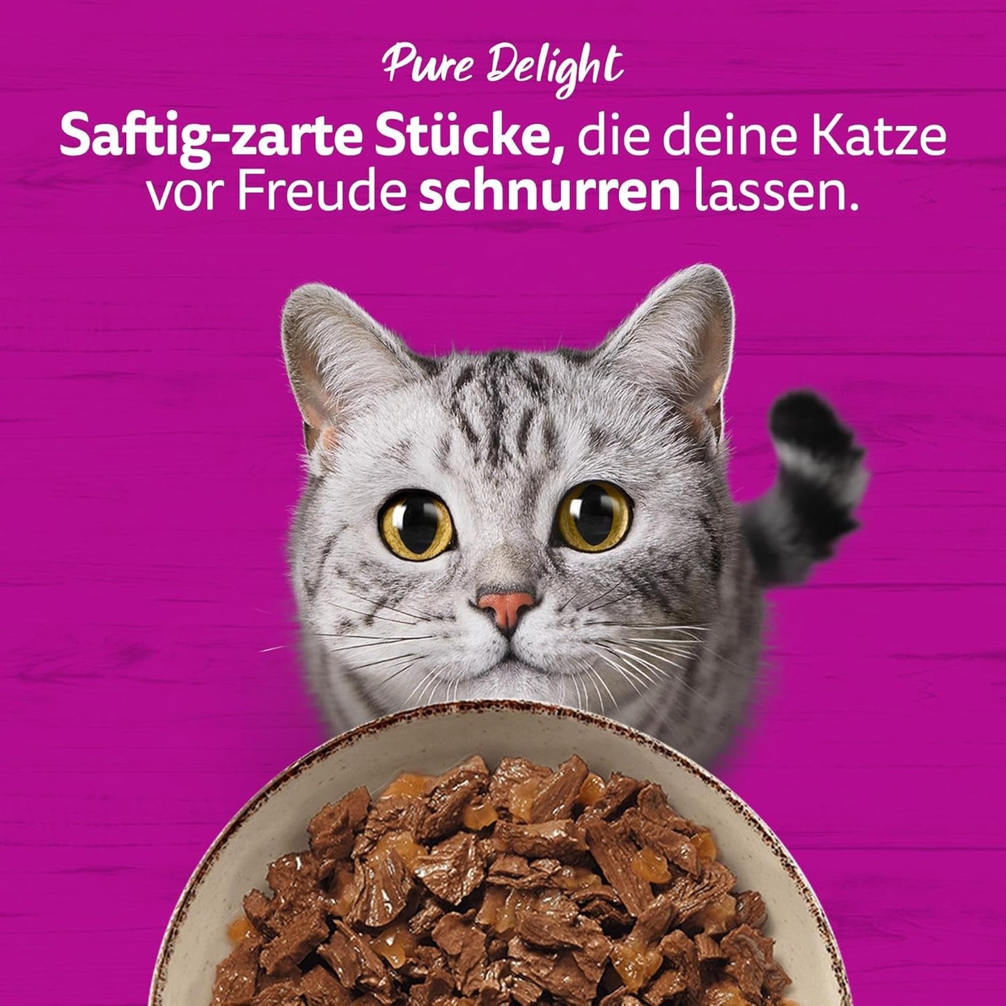 WHISKAS PURE DELIGHT Karma mokra w galarecie 24 x 85g Classic Ragout (4 opakowania) 48 porcji saszetek