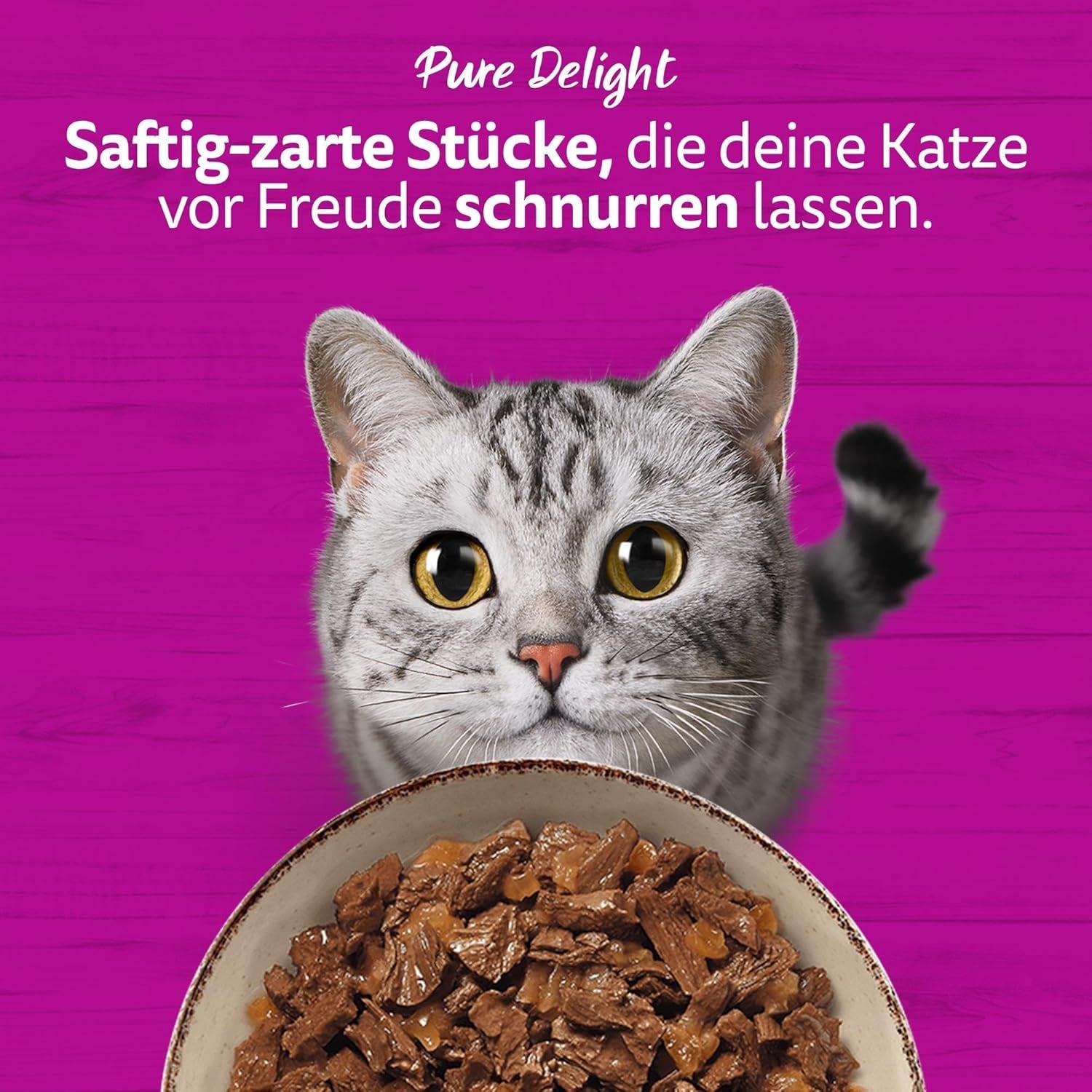 WHISKAS PURE DELIGHT Karma mokra w galarecie 24 x 85g Classic Ragout (4 opakowania) 48 porcji saszetek