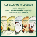 Garnier Nutrisse Farba do włosów trwała pielęgnacja z odżywczymi olejkami owocowymi, trwałość przez 8 tygodni, ultra kremowy odcień, 036 Black Cherry (2 sztuki w zestawie) Naty Shop farba do włosów