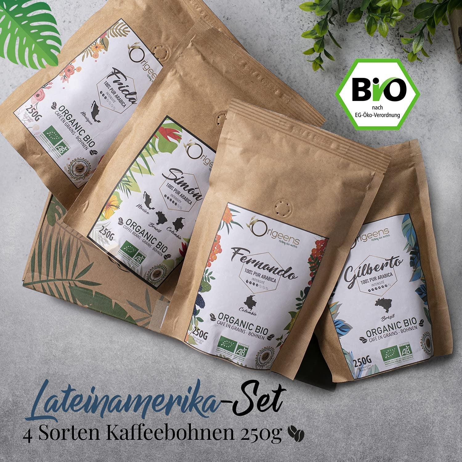ORIGEENS Bio Kaffeebohnen Probierset 1kg | Zestaw Premium Bio Arabica Kaffee Ganze Bohnen 4x250g | Tradycyjny Röstung | Kaffee Geschenkset