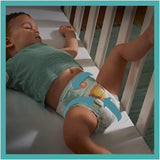 Pieluszki PAMPERS Baby-DRY rozm. 7 123