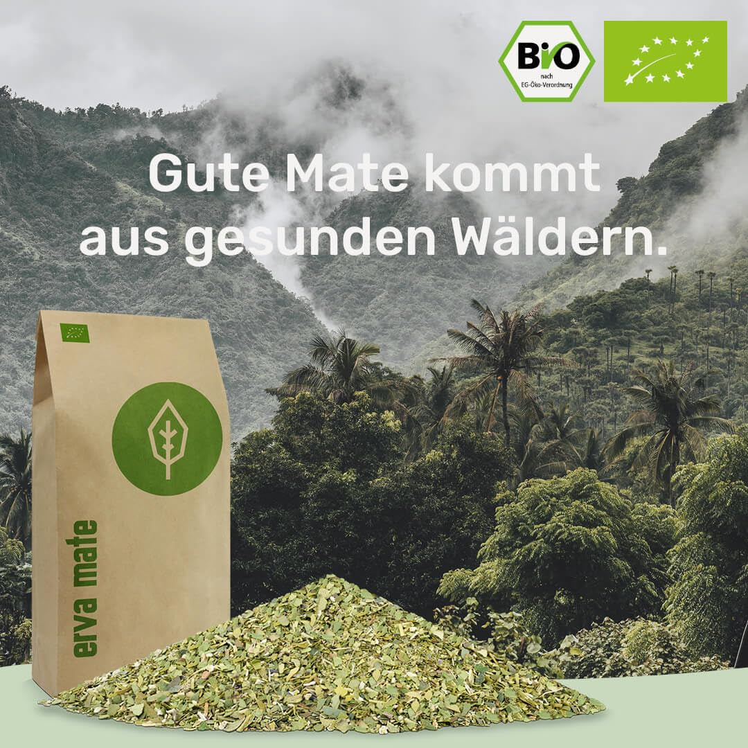 Zestaw do degustacji herbat Mate ● 4 odmiany organicznej herbaty Mate ● po 100 g Erva Mate + Yerba Mate + Herbata Green Mate + Herbata Palona Mate