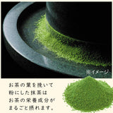Itoen Oiocha Matcha-Iri Ryokucha - japońska zielona herbata liściasta - 100 g