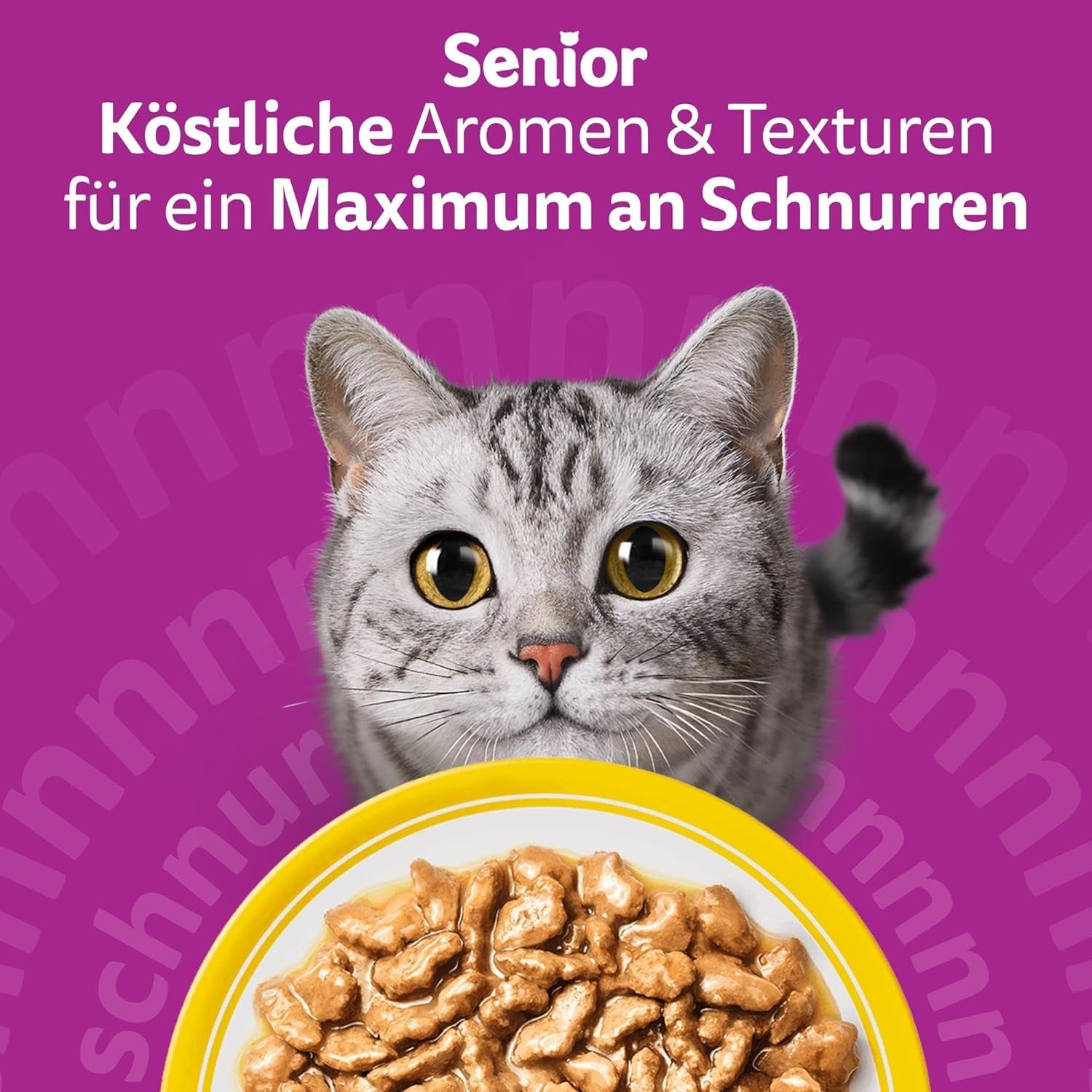 Whiskas 7+ Mokra karma dla kotów Wybór drobiu w sosie 24 x 85 g (2 opakowania) - Wysokiej jakości mokra karma dla kotów od 7 lat w 48 saszetkach