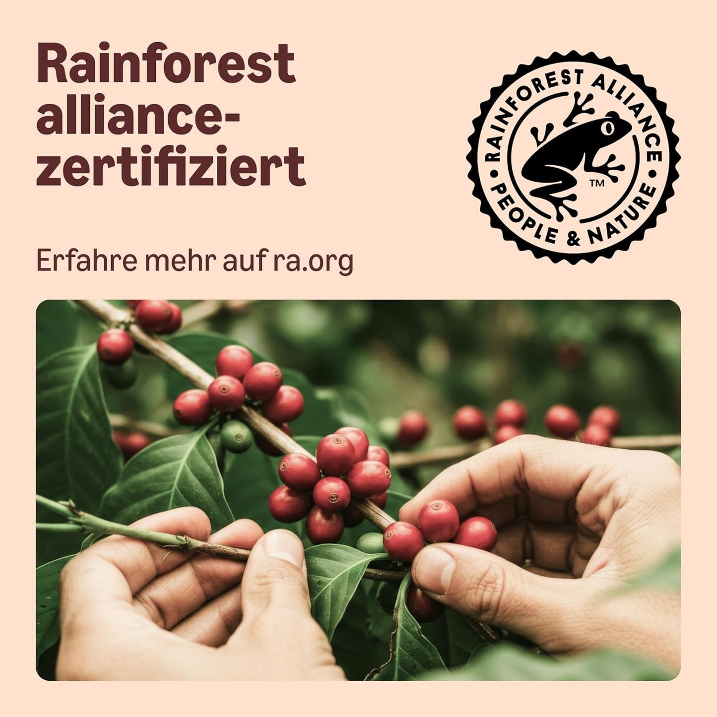 Autor: Amazon Heimkompostierbare Kaffeekapseln, kompatibel mit Nespresso, 100% kolumbianischer Arabica, 20 Stück – Rainforest Alliance-zertifiziert