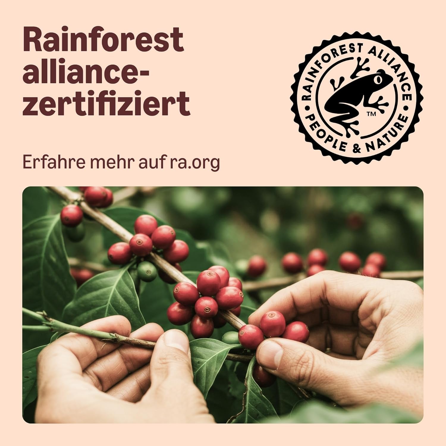 Autor: Amazon Heimkompostierbare Kaffeekapseln, kompatibel mit Nespresso, 100% kolumbianischer Arabica, 20 Stück – Rainforest Alliance-zertifiziert