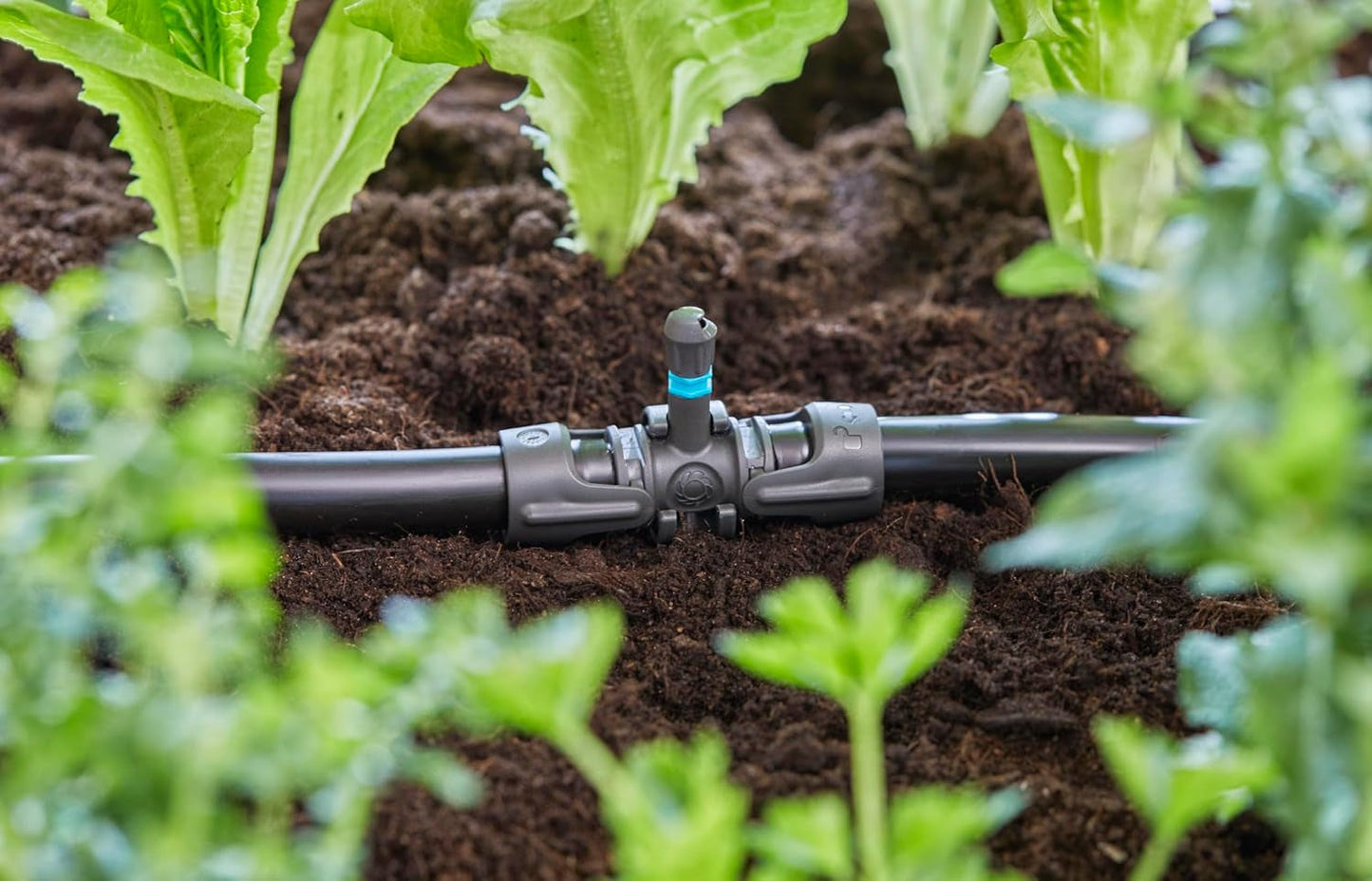 Trójnik Gardena Micro-Drip-System do dysz zraszających: połączenie rur 13 mm z dyszą zraszającą, automatyczne nawadnianie roślin, szybka i łatwa technologia łączenia, wielokrotnego użytku (13206-20)