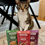Sanabelle Freshe Mieze - Taca mieszana | 10 x 100g opakowanie mieszane | 4 pyszne odmiany karmy dla kotów, których warto spróbować | Mokra karma dla kotów gotowana na parze, zupełnie jak świeżo ugotowana